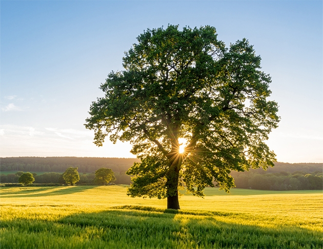 DB�羺(DBGame)�ٷ���վ